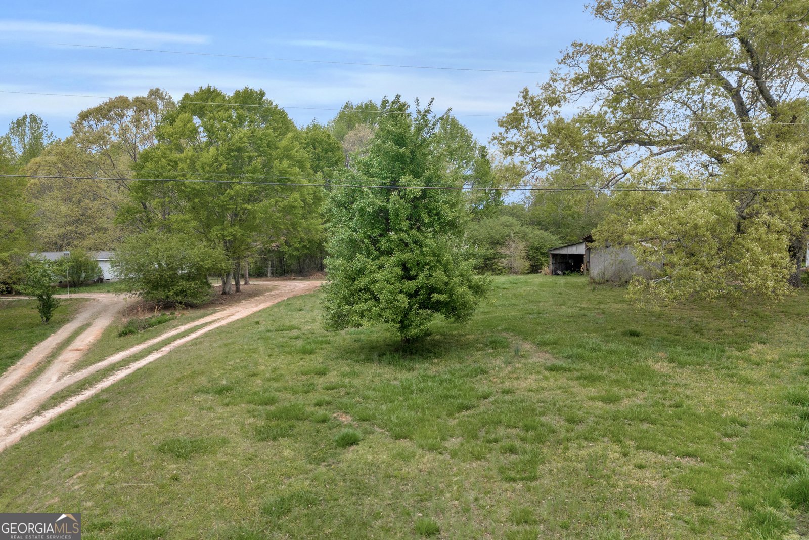 3133 Pea Ridge Road Cornelia - 33