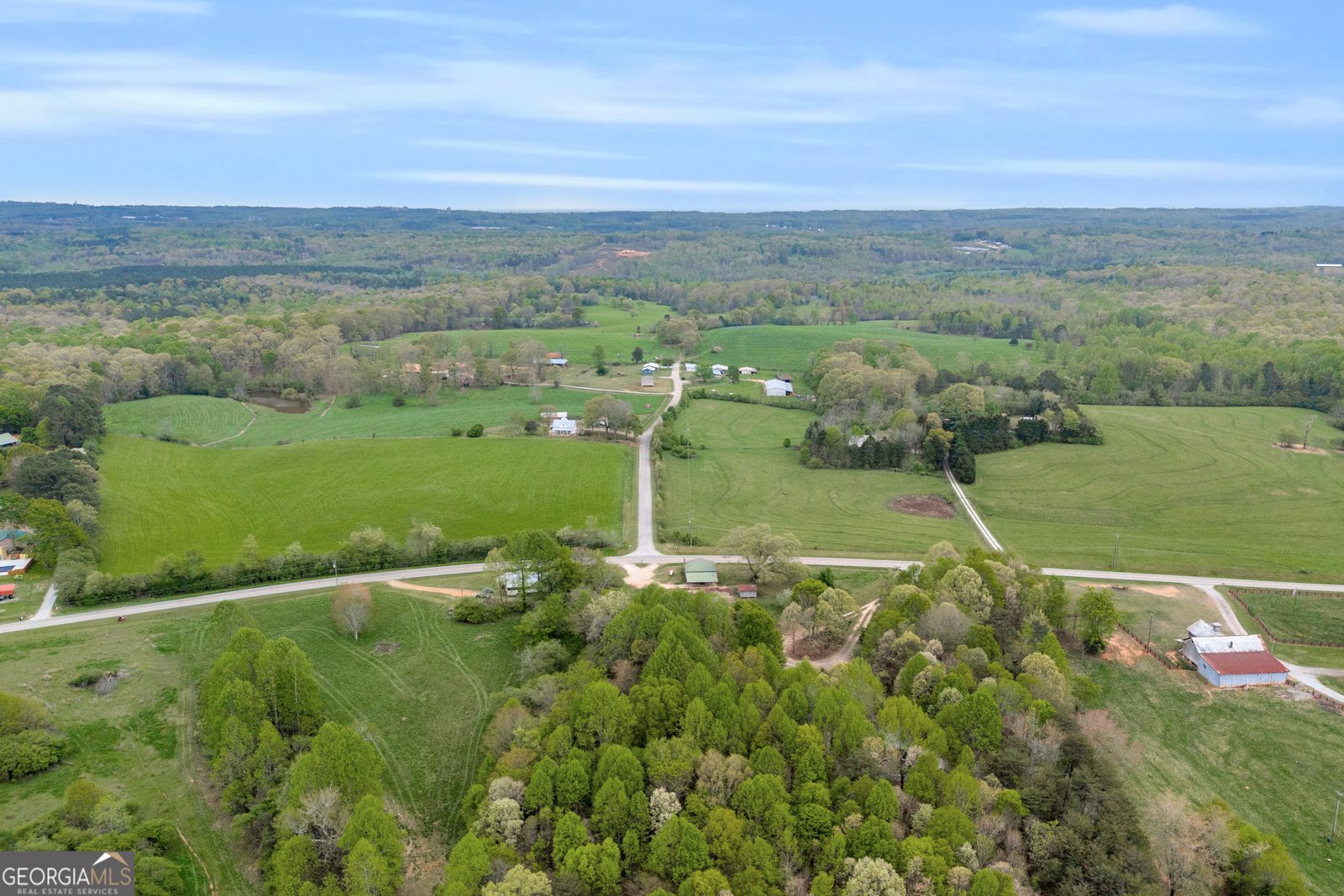 3133 Pea Ridge Road Cornelia - 34