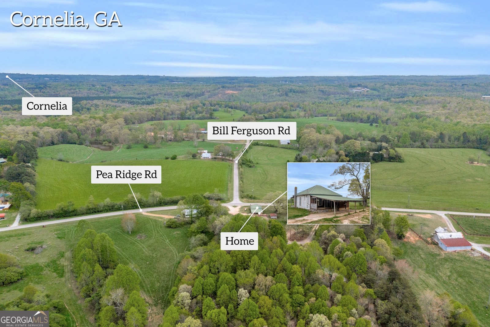 3133 Pea Ridge Road Cornelia - 35