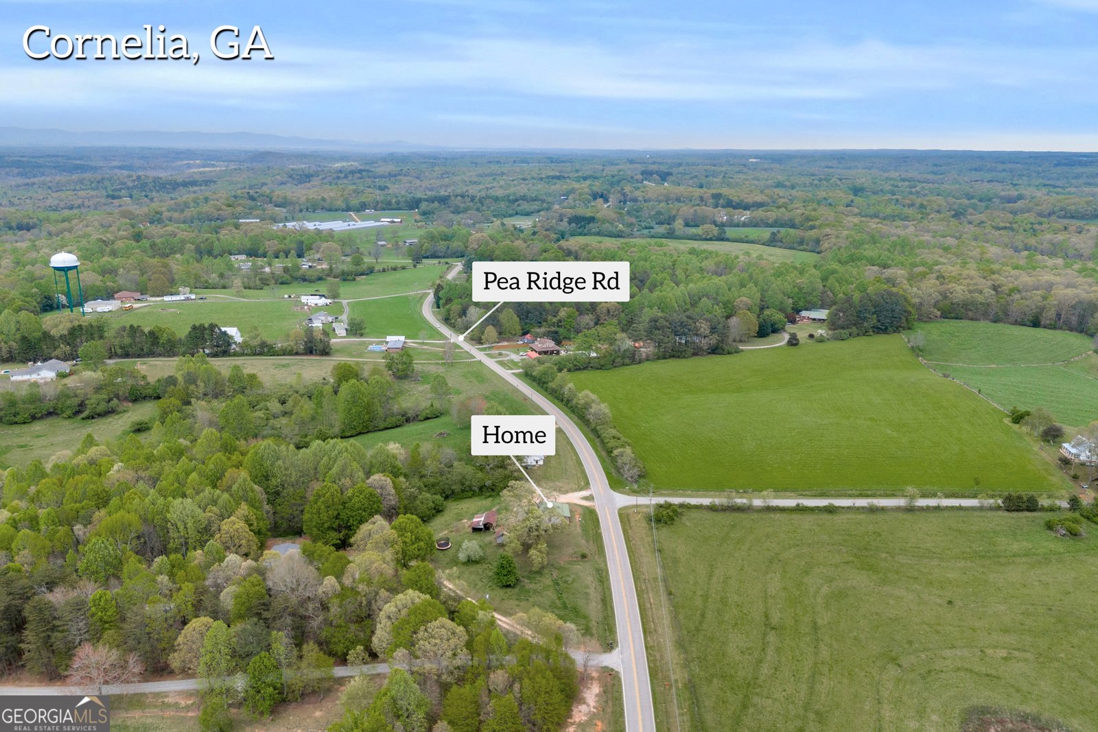 3133 Pea Ridge Road Cornelia - 36