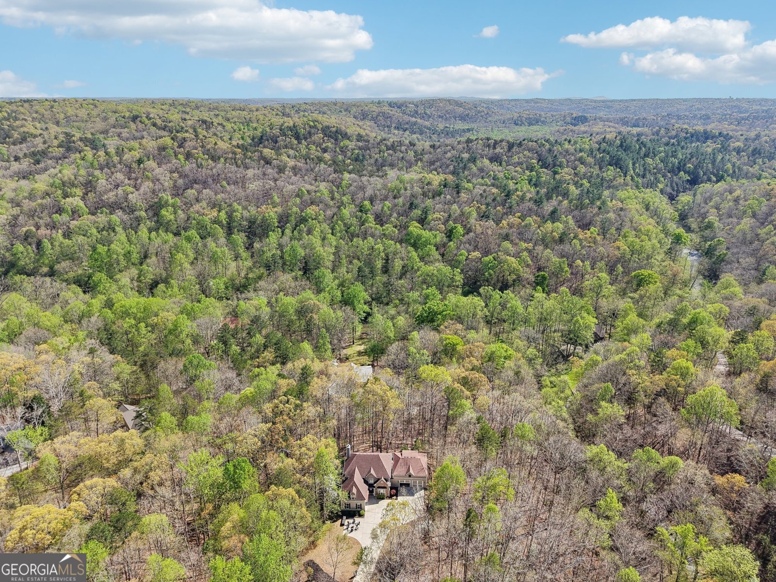 185 Starlight Drive Dahlonega - 2