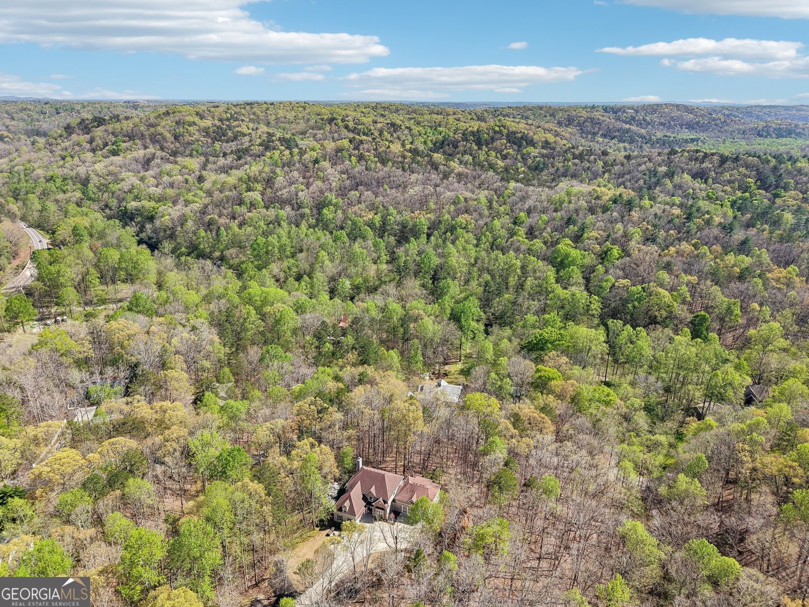 185 Starlight Drive Dahlonega - 3