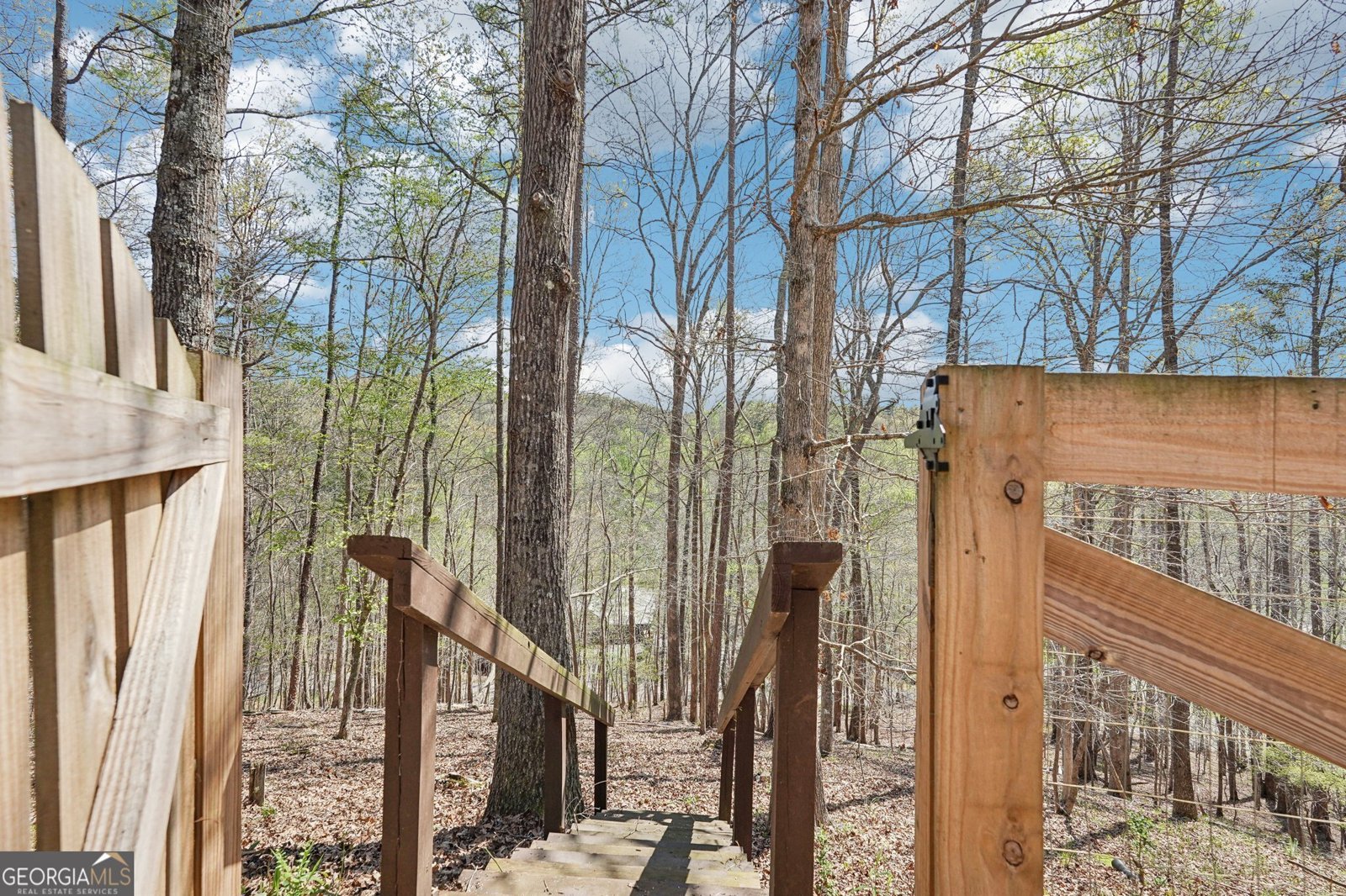 185 Starlight Drive Dahlonega - 39