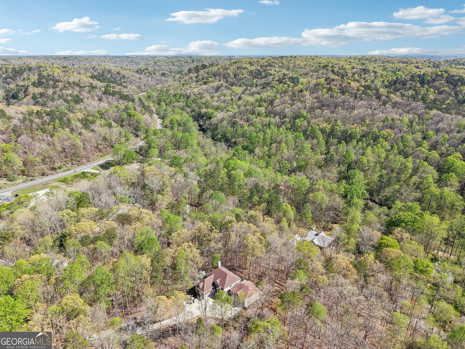 185 Starlight Drive Dahlonega - 4