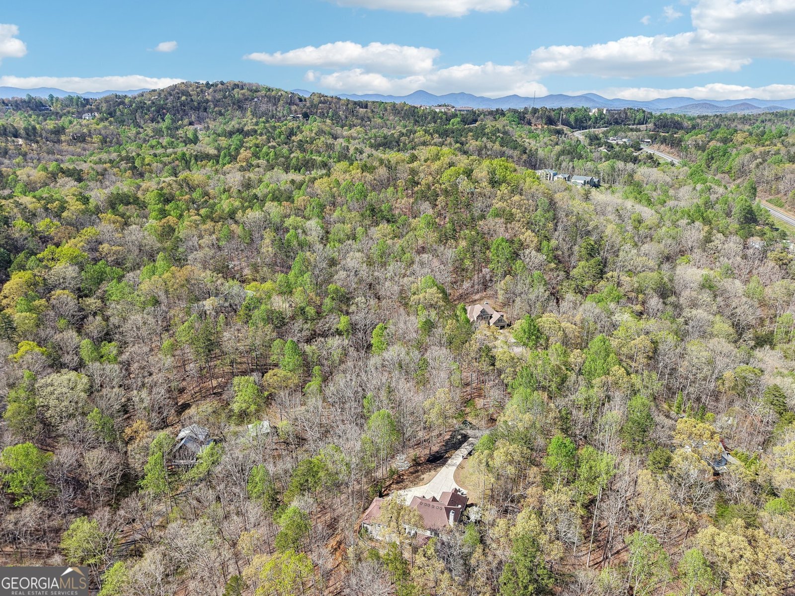 185 Starlight Drive Dahlonega - 8