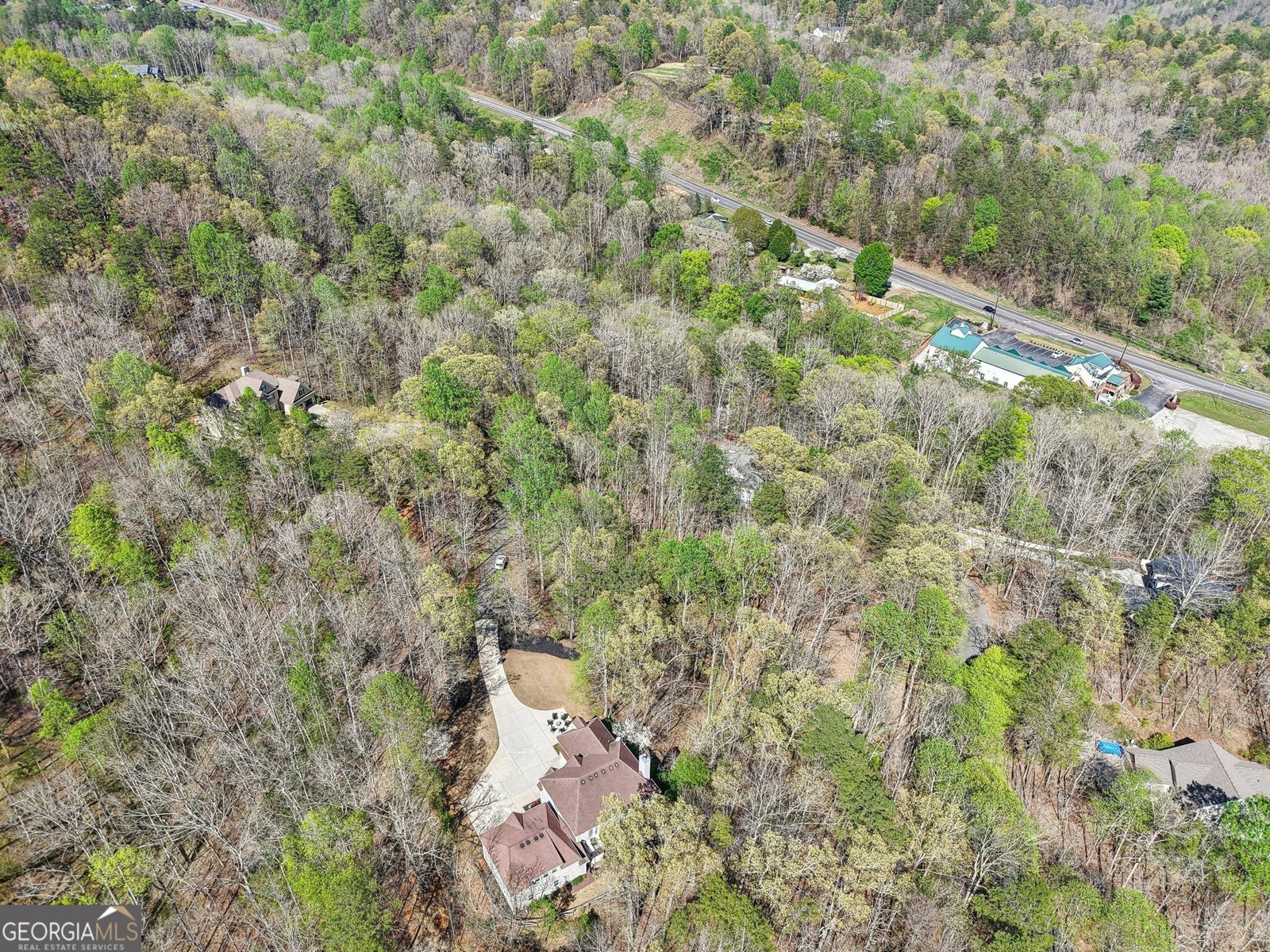 185 Starlight Drive Dahlonega - 9