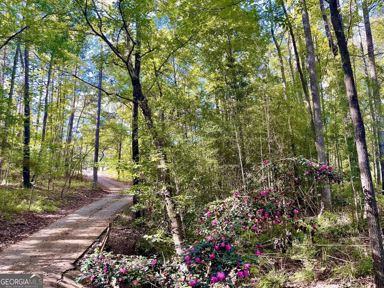 102 Red Eagle Trail Macon - 23