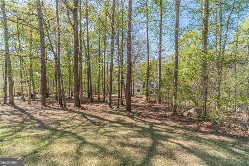 3775 Belle Glade Trail Snellville - 2