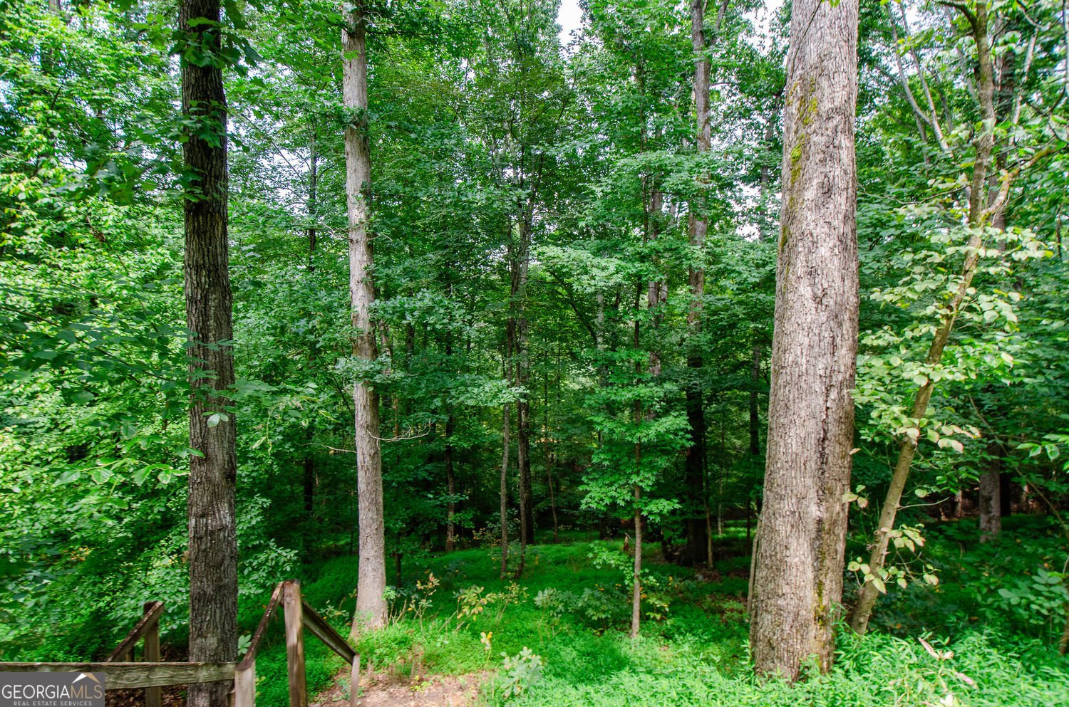 4503 Rivercliff Drive Lilburn - 7