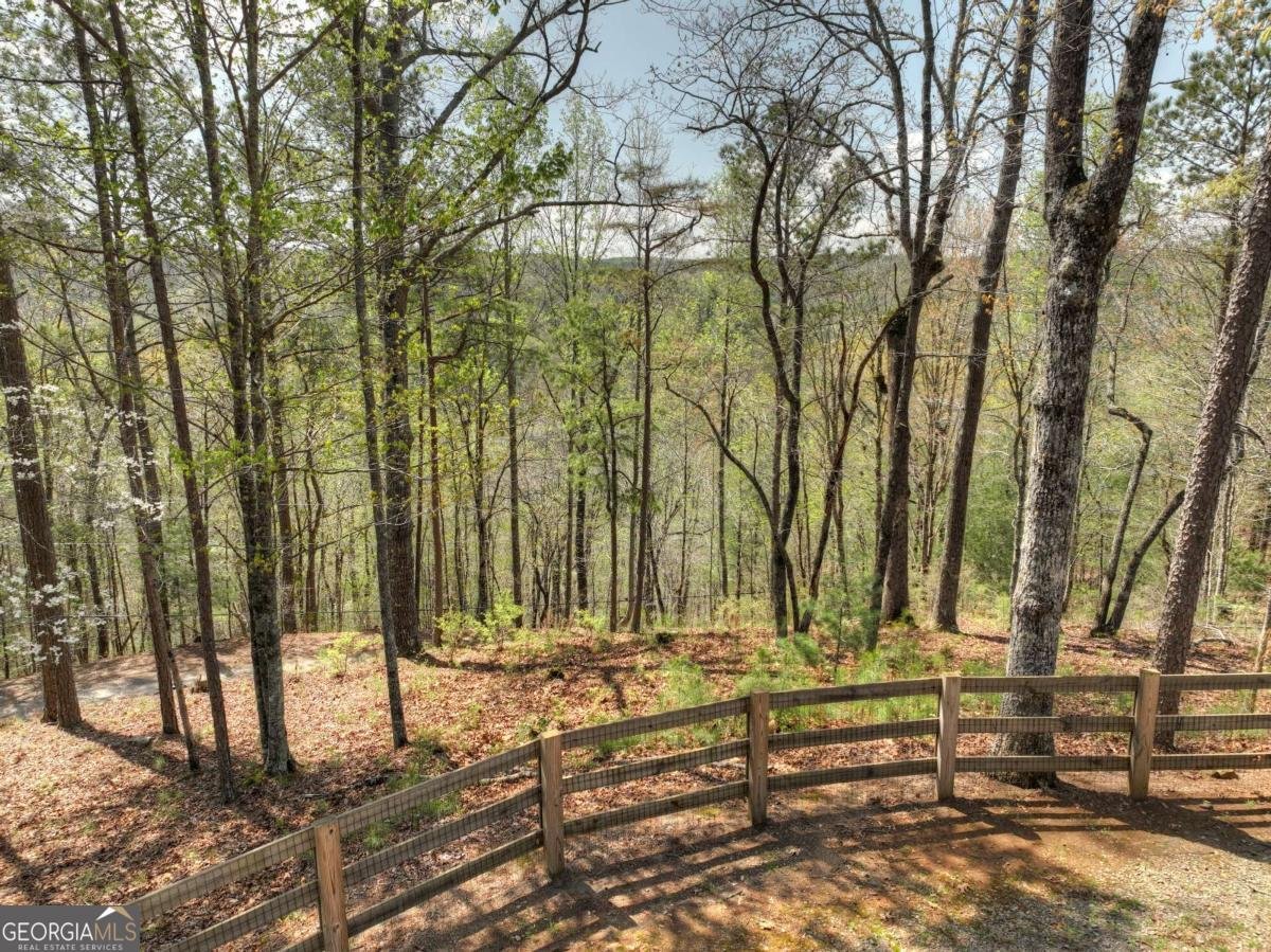 517 Monet Drive Ellijay - 26
