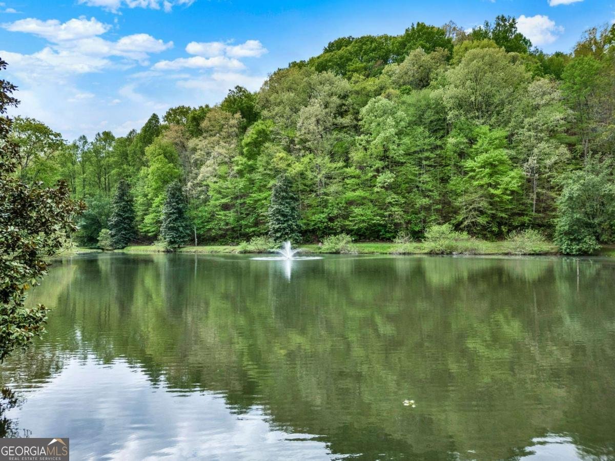 517 Monet Drive Ellijay - 65