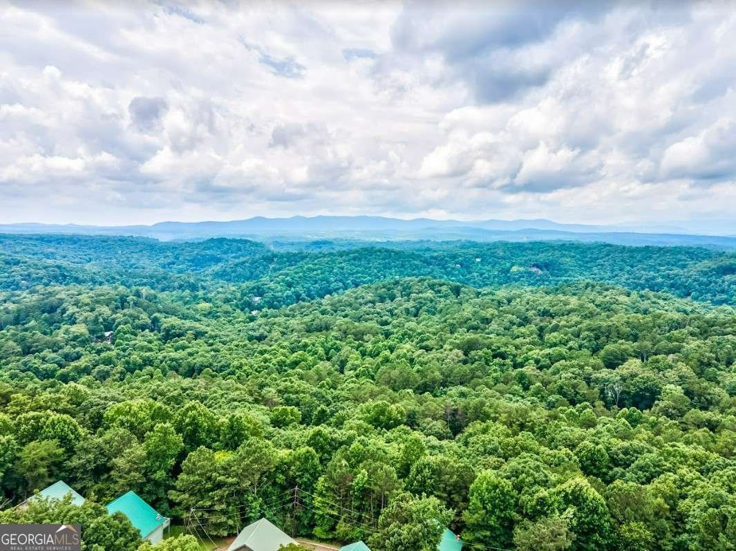 517 Monet Drive Ellijay - 68