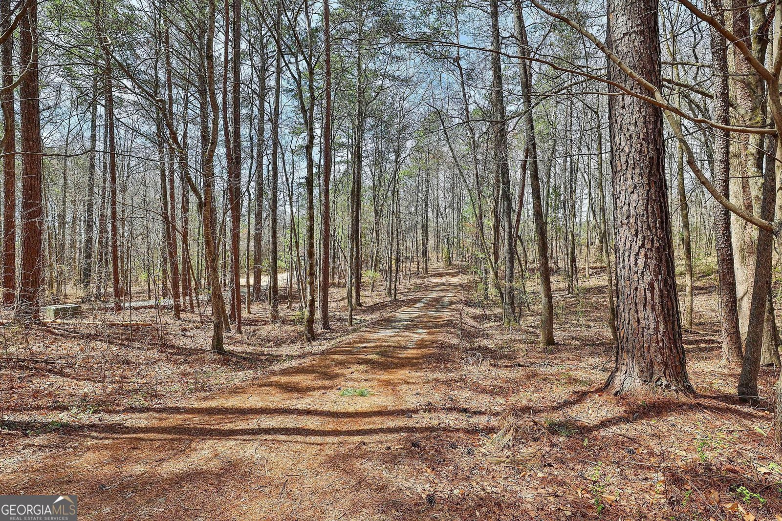 1109 Allen Road Grantville - 13