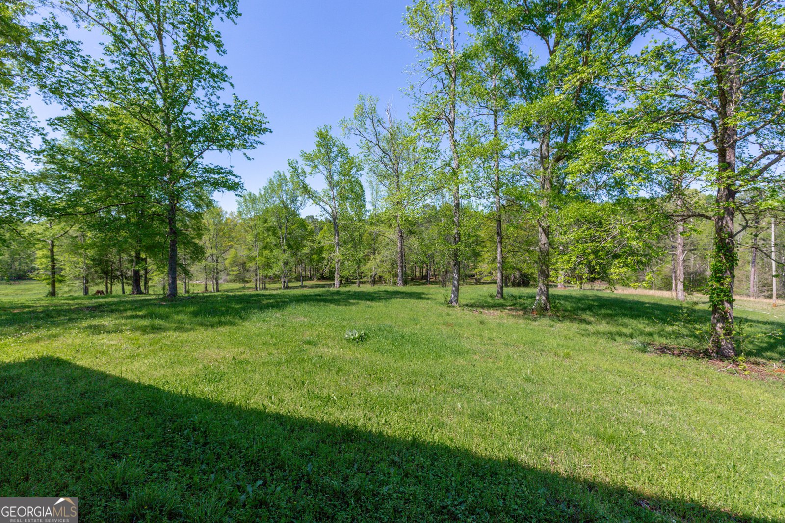 516 Turner Road Concord - 77