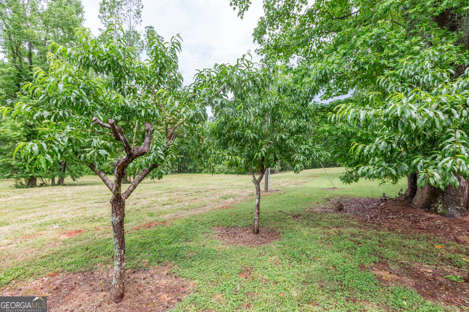 516 Turner Road Concord - 80