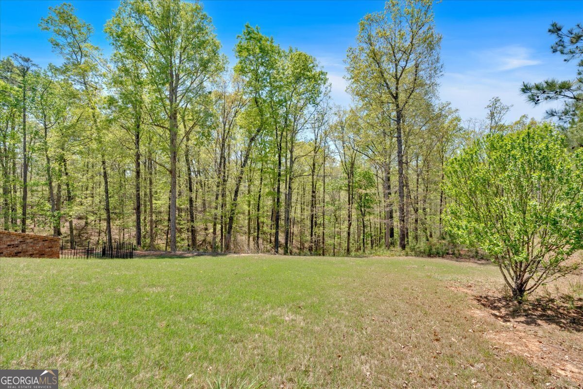 7801 Windswept Way Douglasville - 51