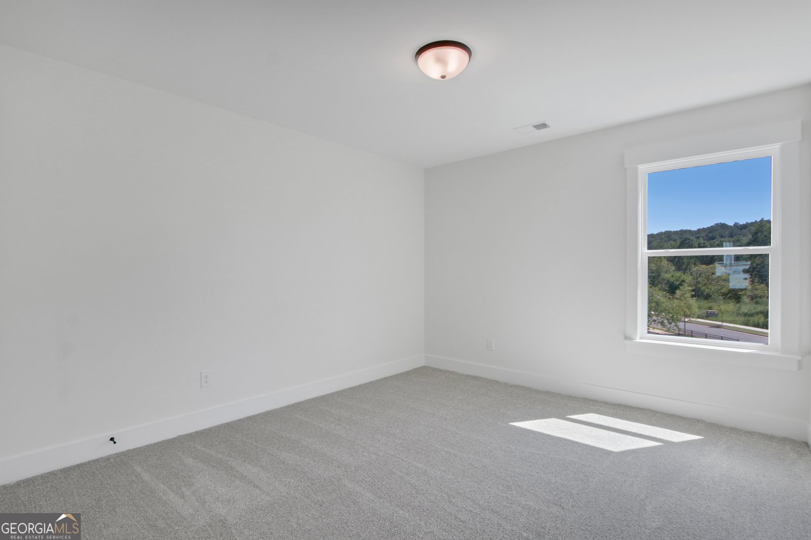 358 Conifer Lane Ball Ground - 37