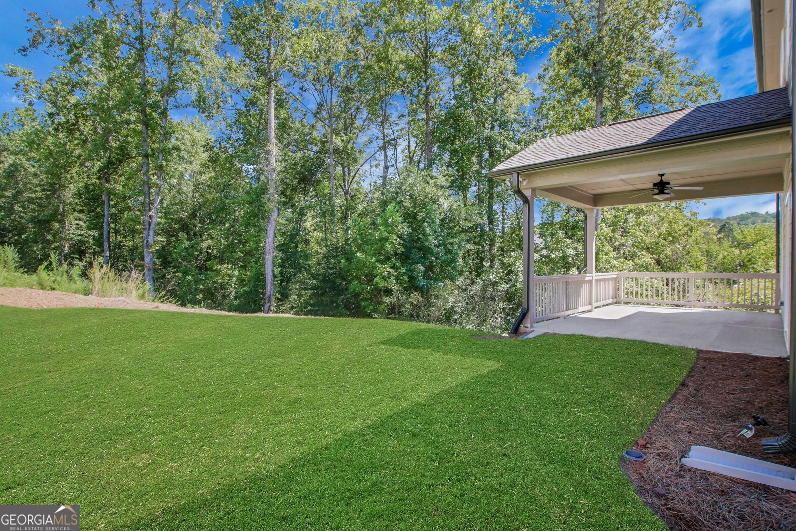 358 Conifer Lane Ball Ground - 42