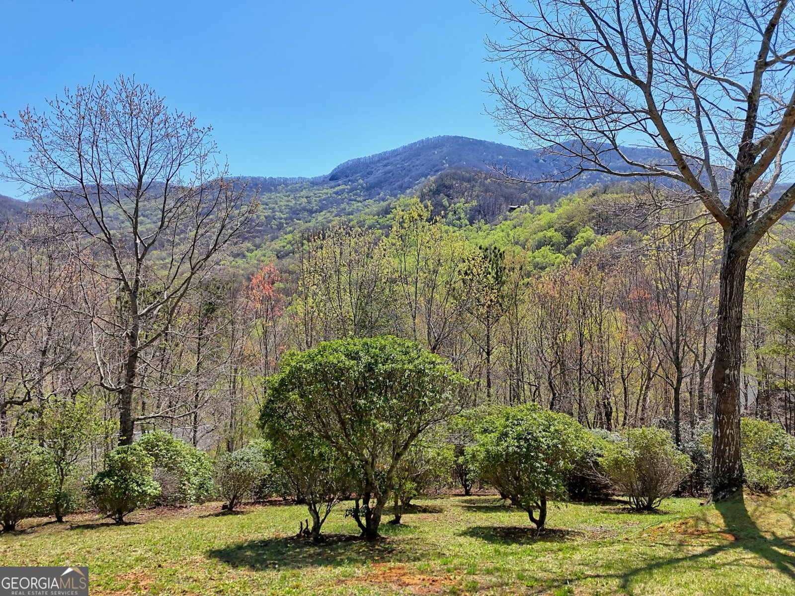 2537 Hunter Road Hiawassee - 52