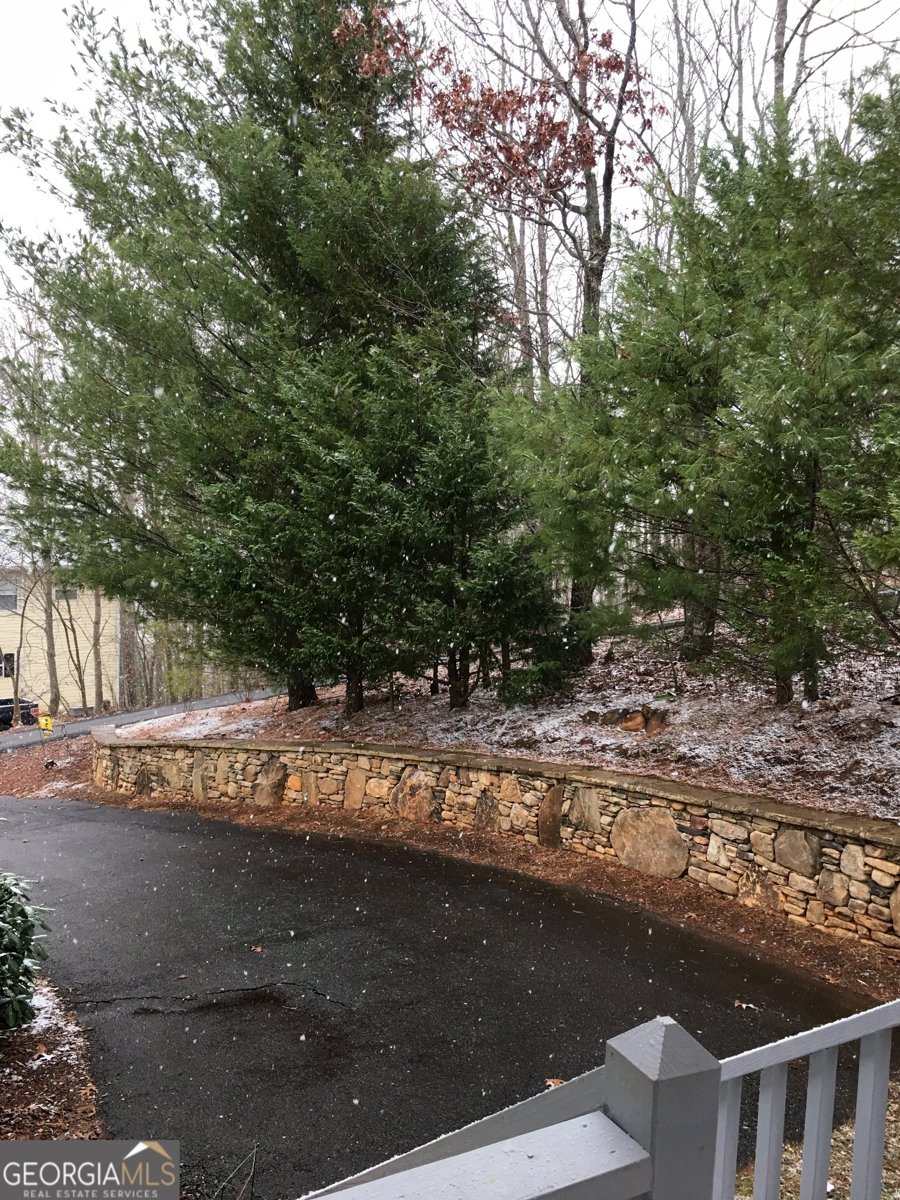 2537 Hunter Road Hiawassee - 60