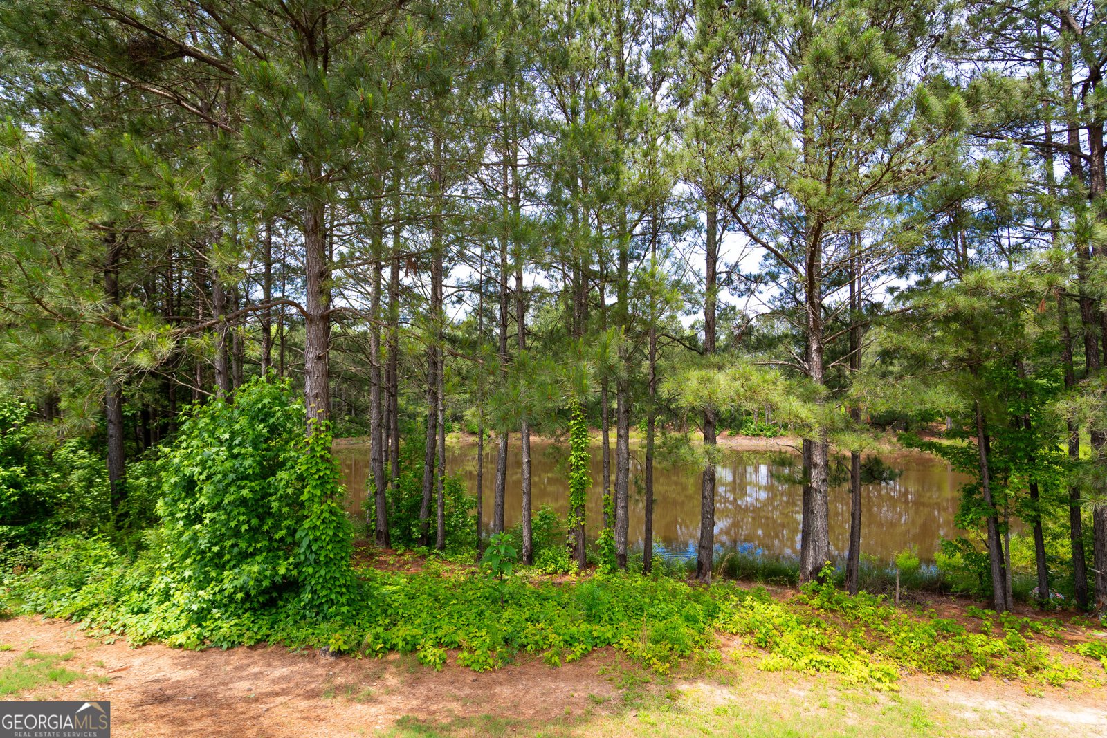 142 Susie Creek Lane Villa Rica - 41
