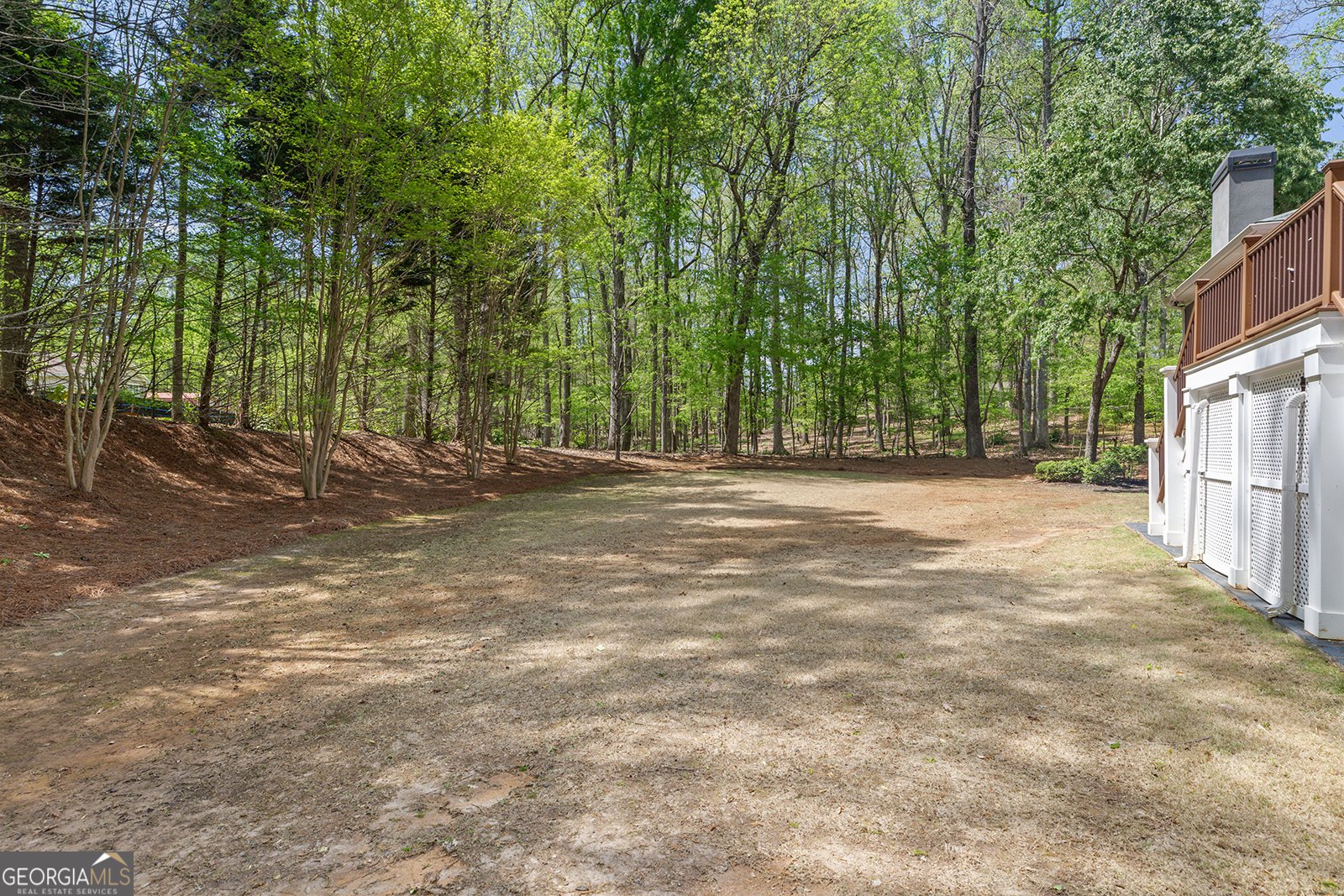 335 Birkdale Drive Fayetteville - 86