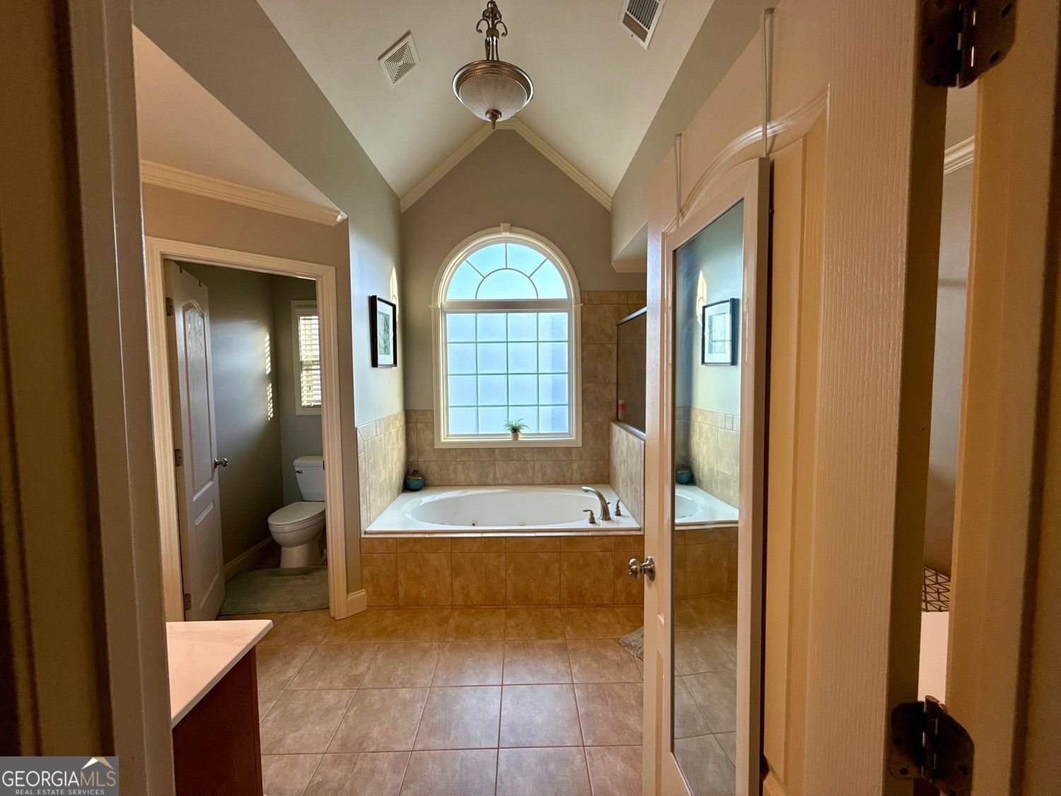 3240 Letha Woods Drive Conyers - 19