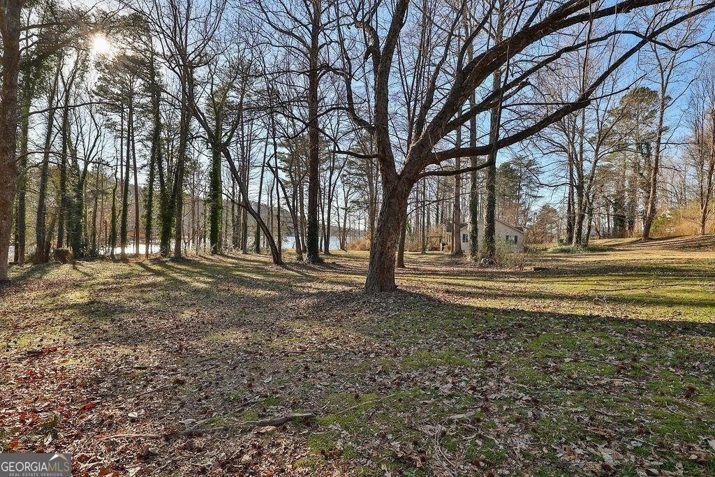 2733 Old Dawsonville Road Gainesville - 22
