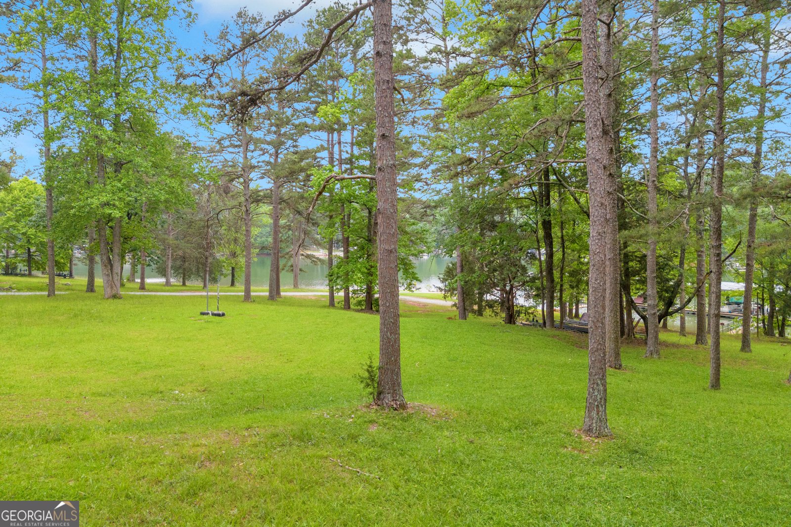 455 Lake View Drive Lavonia - 46