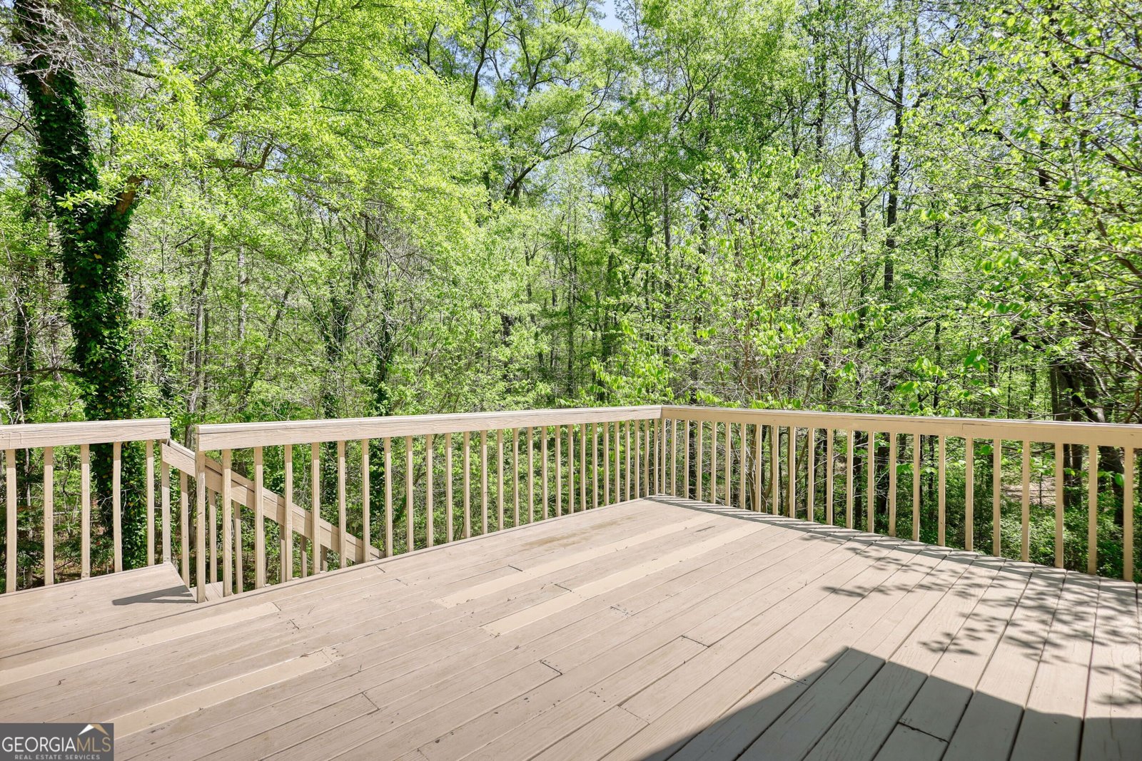1660 Weems Road Locust Grove - 55