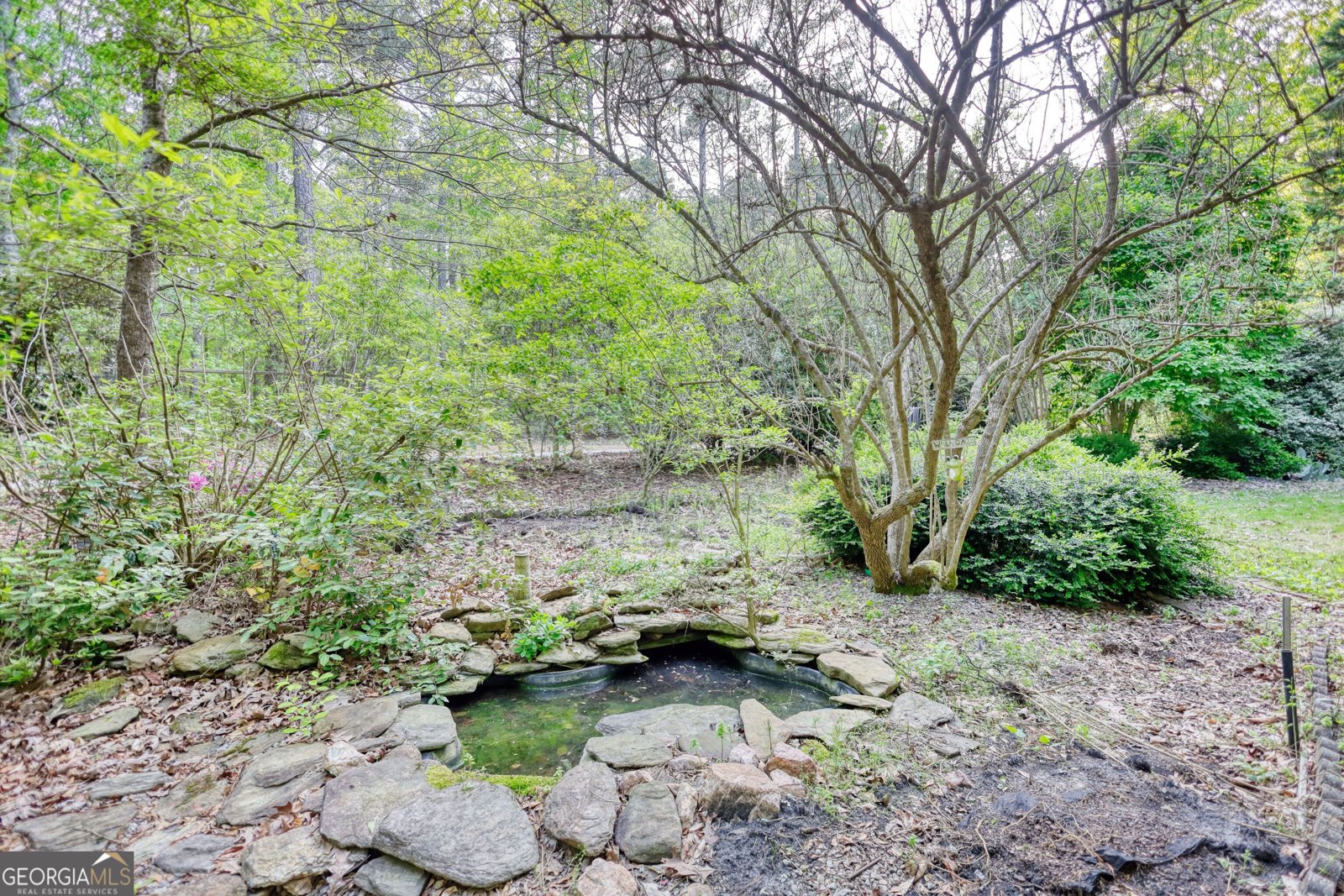 1660 Weems Road Locust Grove - 64