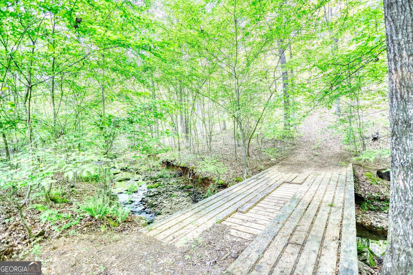 1660 Weems Road Locust Grove - 69