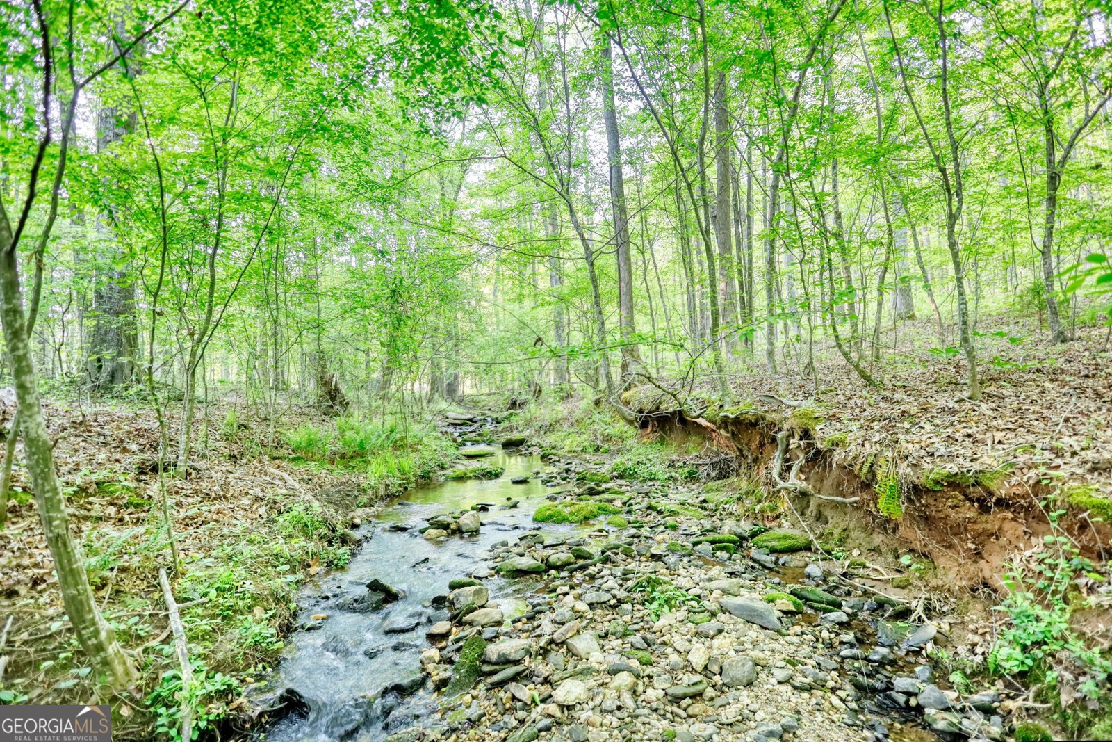 1660 Weems Road Locust Grove - 70
