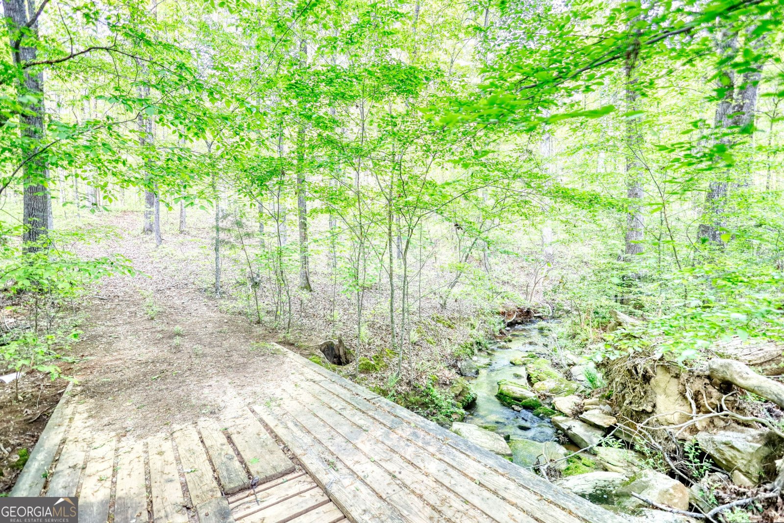 1660 Weems Road Locust Grove - 72