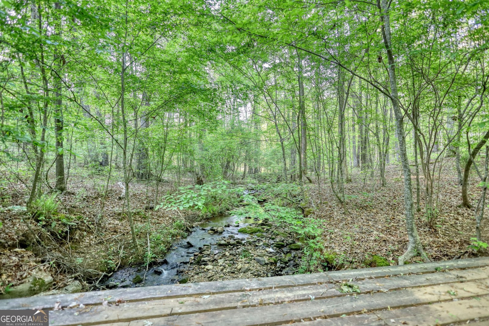 1660 Weems Road Locust Grove - 73