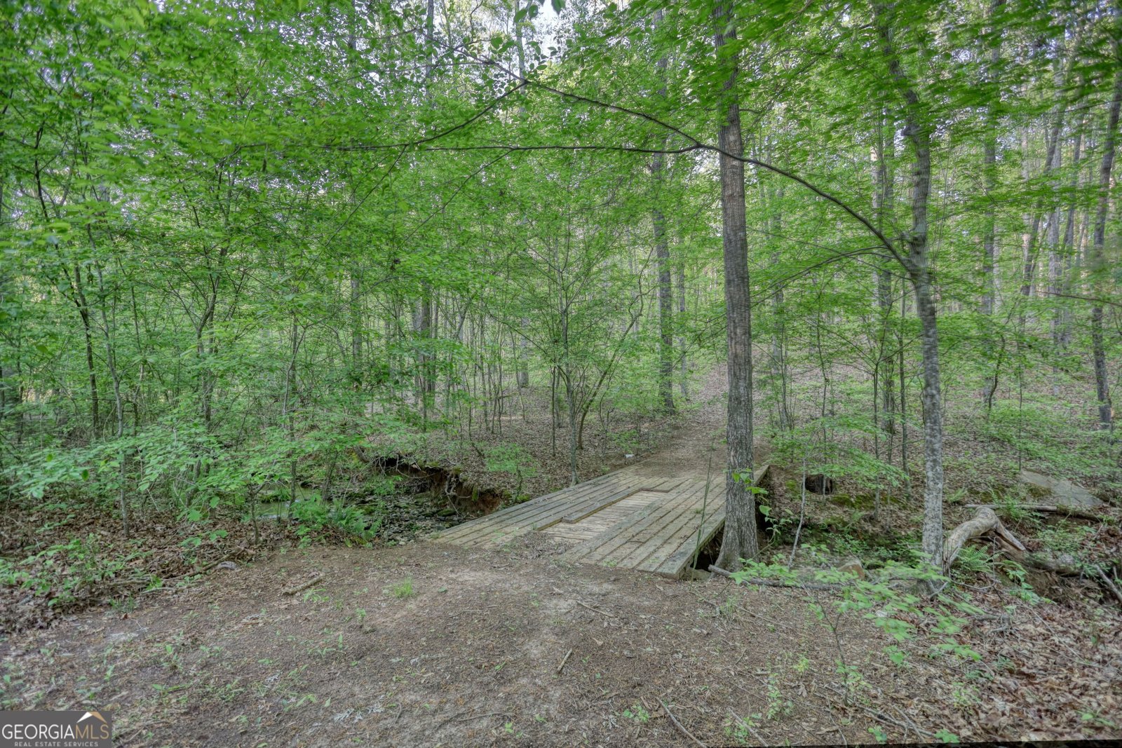 1660 Weems Road Locust Grove - 74