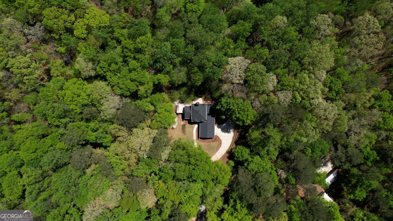 1660 Weems Road Locust Grove - 75