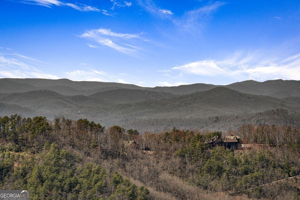 LOT 3 Grand Vista Drive Blue Ridge - 30