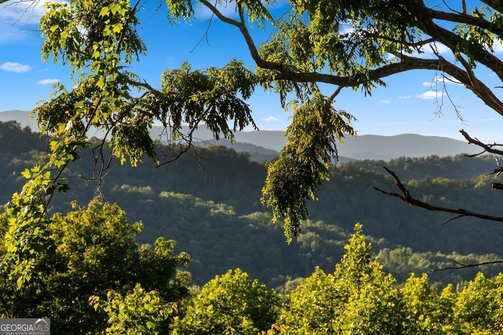 LOT 3 Grand Vista Drive Blue Ridge - 73