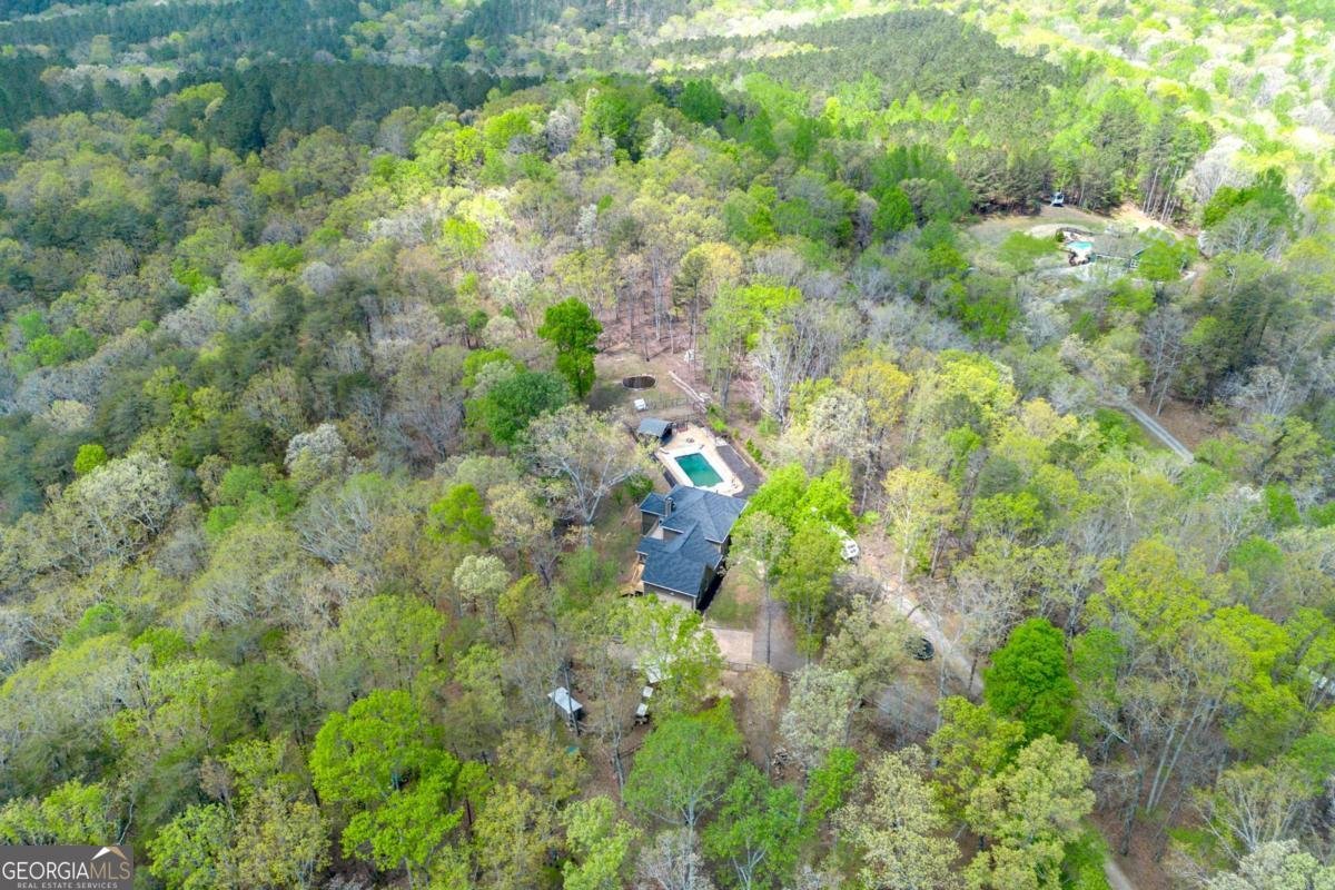 1275 Jerusalem Church Road Waleska - 39