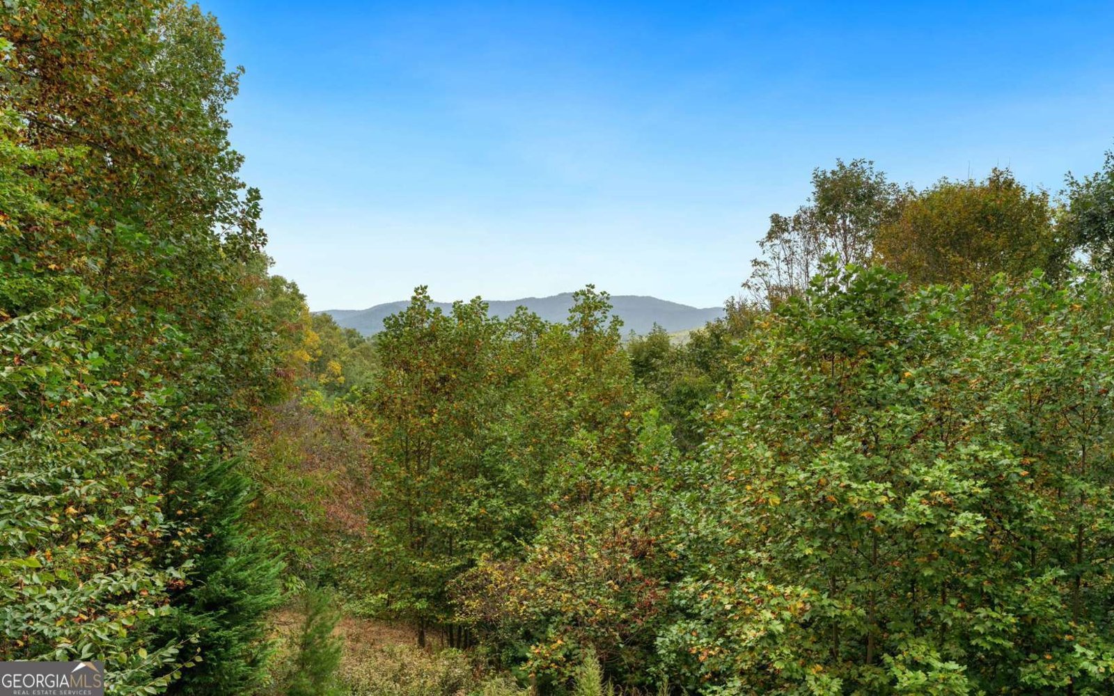 260 Mountain High Drive Mineral Bluff - 41