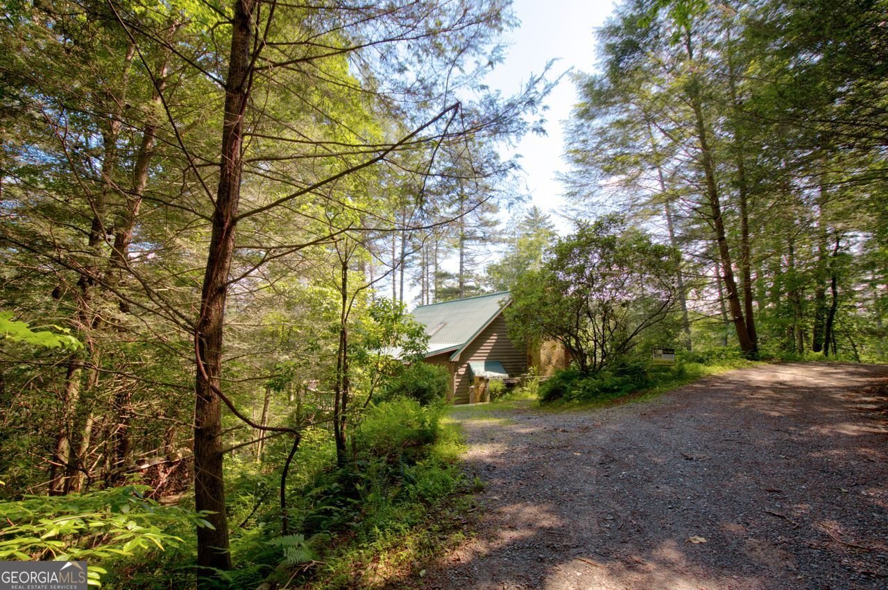 353 Kells Ridge Court Ellijay - 20