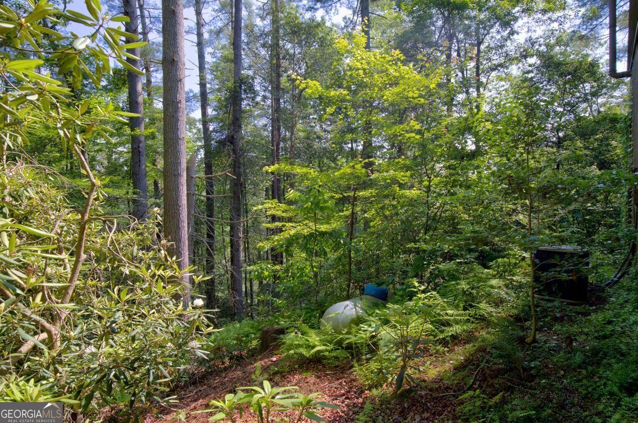 353 Kells Ridge Court Ellijay - 30