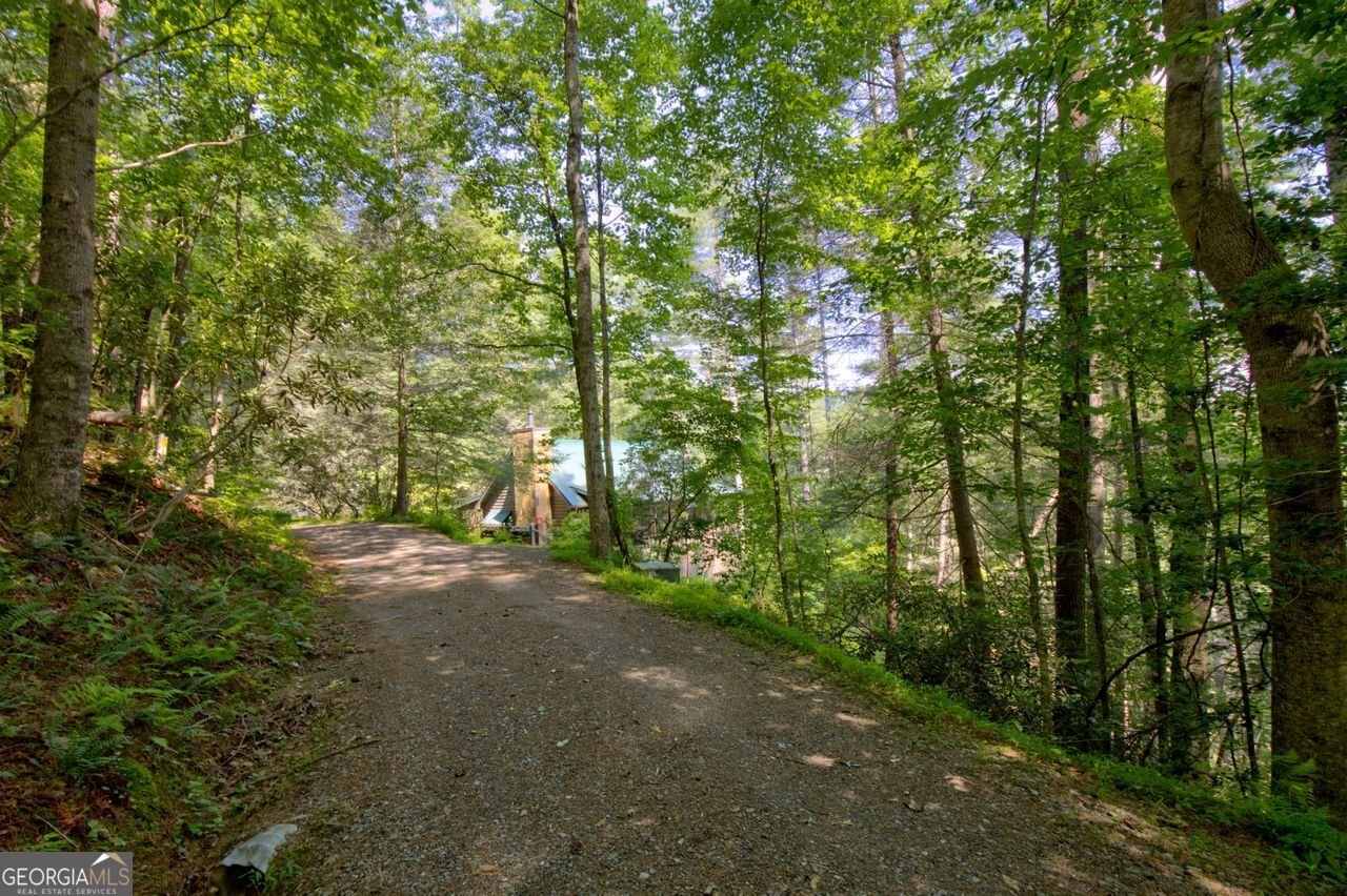 353 Kells Ridge Court Ellijay - 31