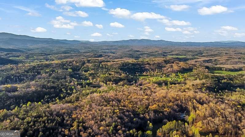 125 Fightingtown Overlook Blue Ridge - 17