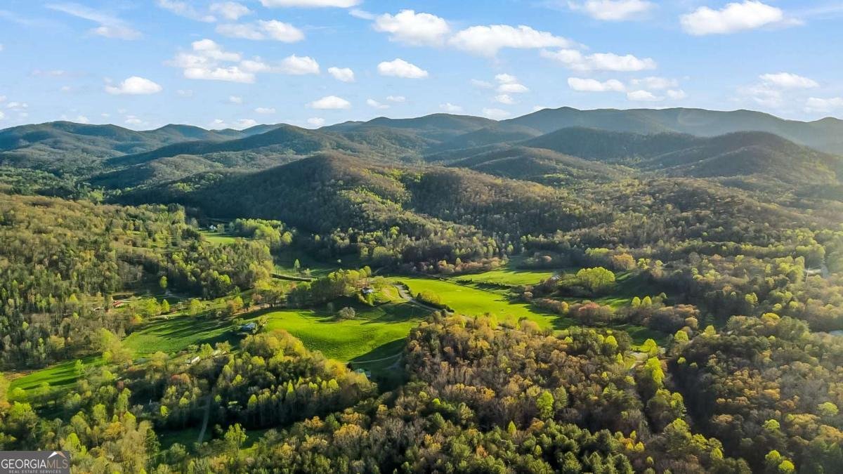 125 Fightingtown Overlook Blue Ridge - 6