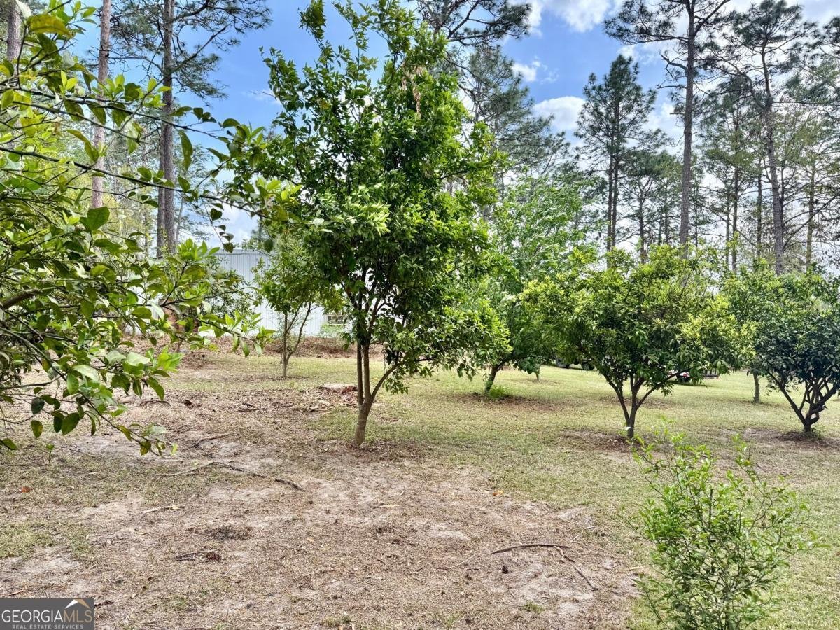 5785 Lennox Road Baxley - 36