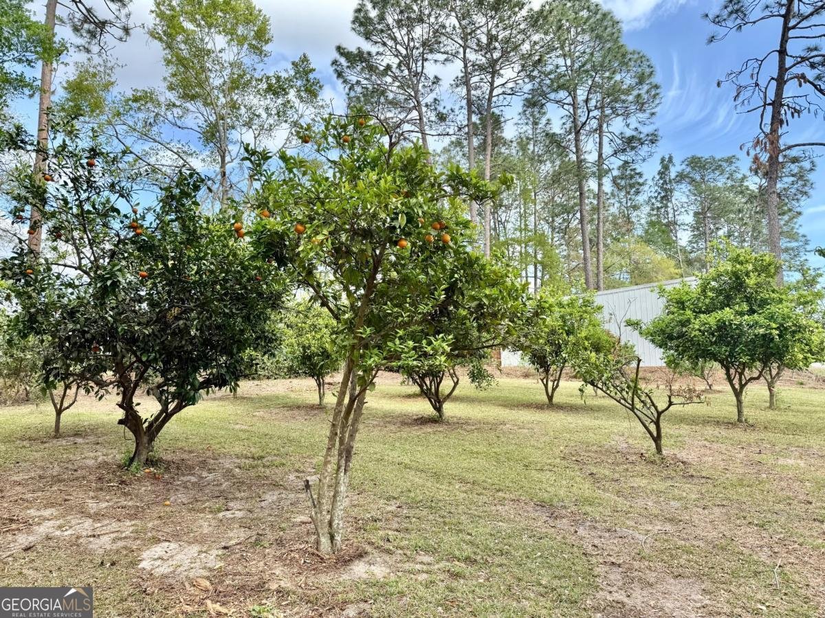 5785 Lennox Road Baxley - 37