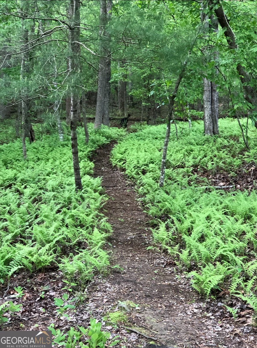 398 Dancing Trees Trail Morganton - 15