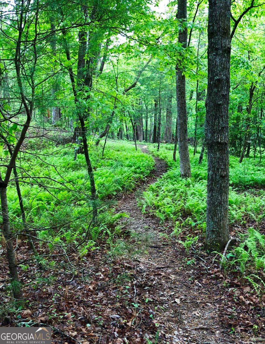 398 Dancing Trees Trail Morganton - 51